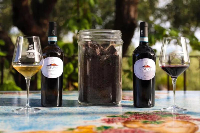 Private Tour of Pompeii with Wine Tasting & Lunch from Amalfi