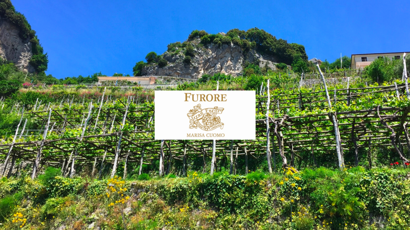 Private Wine Tasting & Lunch at Marisa Cuomo Winery