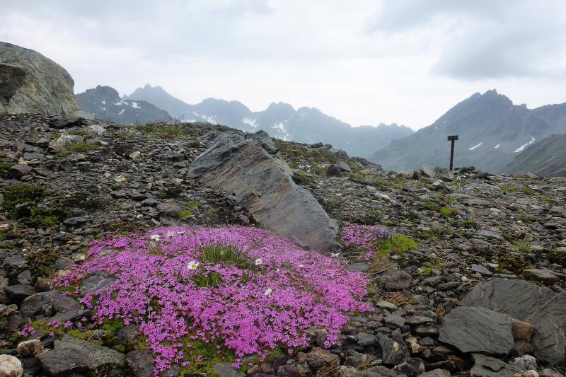 Mountain views on a hike in the Austrian Alps
