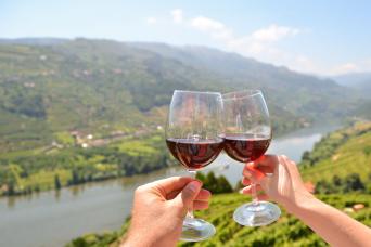 Douro Valley Wine Tour
