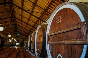 Sintra Tour with Pena Palace Gardens & Winery