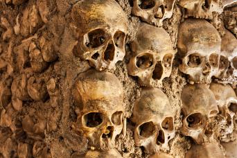 Évora Half-Day Private Tour