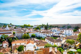 Óbidos Wine Private Tour