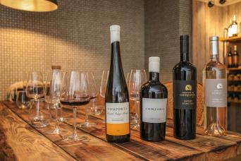 Arrábida & Comporta Wine Private Tour