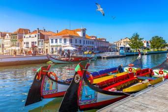 Aveiro & Costa Nova Private Half-Day Tour
