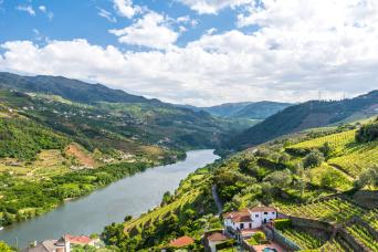 Douro Historical & Wine Full-Day Private Tour