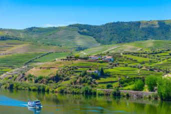 Douro Valley by Boat: from Porto to Régua