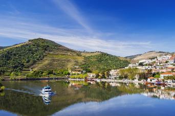 Douro Day Cruise From Porto to Pinhão
