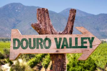 Douro Historical & Wine Full-Day Tour