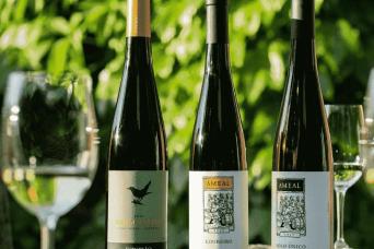 Private Green Wine Tour