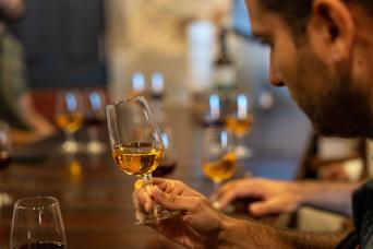 Porto City Tour Half-Day: with Port Wine Tasting