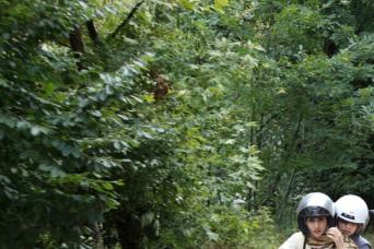 Visite d'une journée au lac Sapanca et Masukiye depuis Istanbul