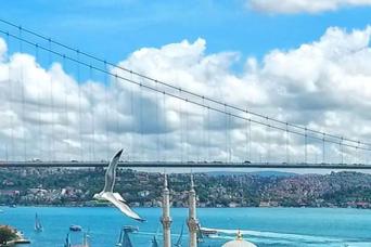 Istanbul : croisière sur le Bosphore, visite en bus et téléphérique