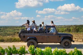 Vin, cava, tapas et 4x4 dans les vignobles au départ de Barcelone