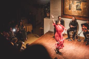 Séville : visite à pied, dégustation de tapas et spectacle de flamenco