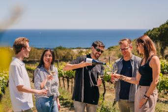 Excursion en voilier aux vignobles avec dégustation de vins