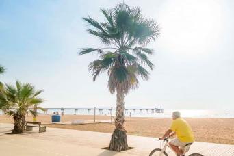 Visite guidée en vélo électrique avec dégustation de vin et déjeuner