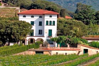 Visite guidée en vélo électrique avec dégustation de vin et déjeuner