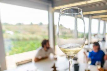 Visite guidée en vélo électrique avec dégustation de vin et déjeuner