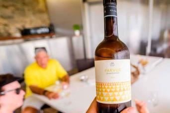 Visite guidée en vélo électrique avec dégustation de vin et déjeuner