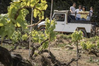 Excursion à Sintra et Cabo da Roca en 4x4 depuis Lisbonne