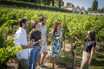 Lisbonne : visite de Setubal et expérience viticole