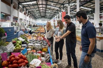 Lisbonne : visite de Setubal et expérience viticole