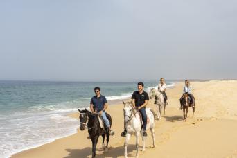Équitation sur la plage de Comporta et Setubal f