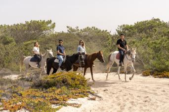 Équitation sur la plage de Comporta et Setubal f