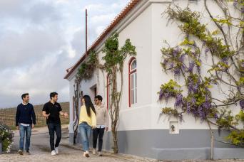 Sintra avec visite du palais de Pena et des vignobles