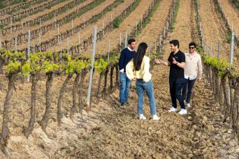 Sintra avec visite du palais de Pena et des vignobles