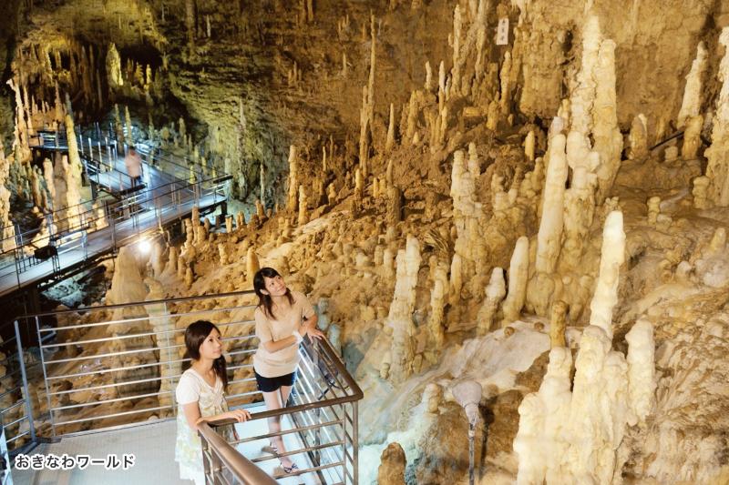 okinawa-regular-sightseeing-bus-2