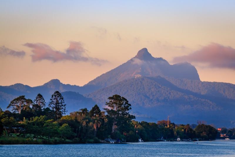 tweed-river-and-rainforest-lunch-cruise-4