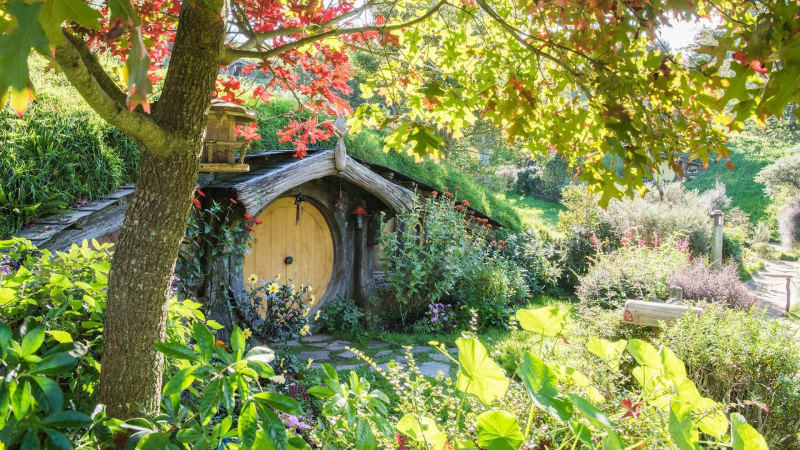 waitomo-and-hobbiton-experience-from-auckland-6