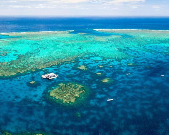 Quicksilver Outer Barrier Reef Cruise from Cairns