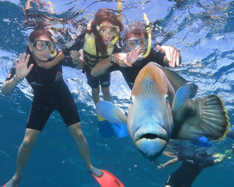 quicksilver-outer-barrier-reef-cruise-from-cairns-3