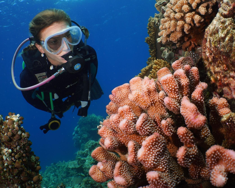 silversonic-outer-barrier-reef-cruise-ex-cairns-2
