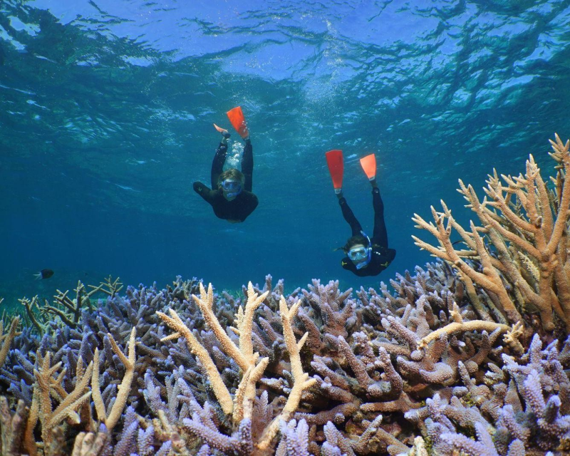 silversonic-outer-barrier-reef-cruise-ex-cairns-3