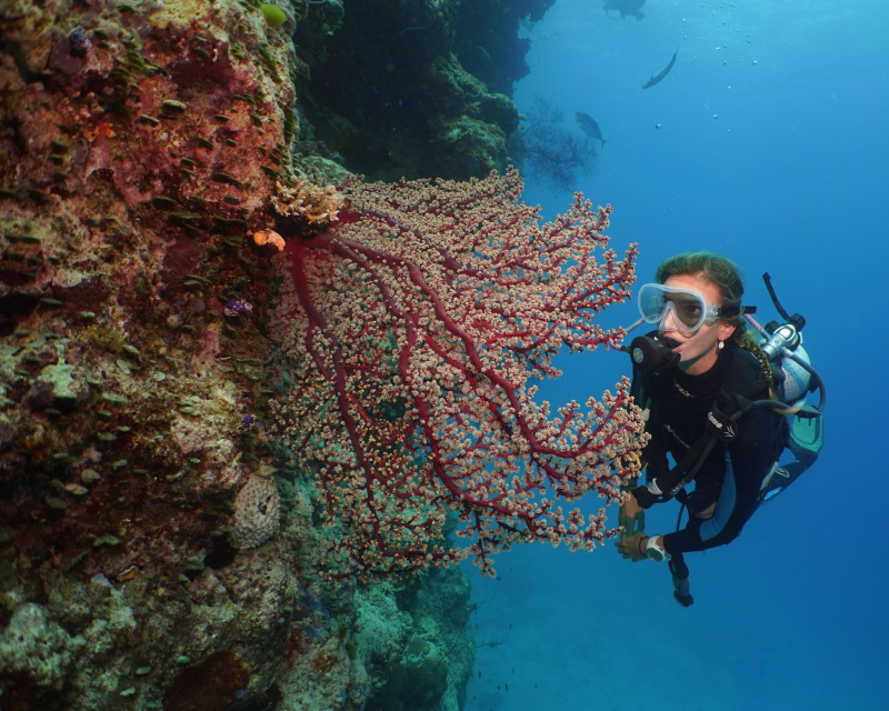silversonic-outer-barrier-reef-cruise-ex-cairns-4