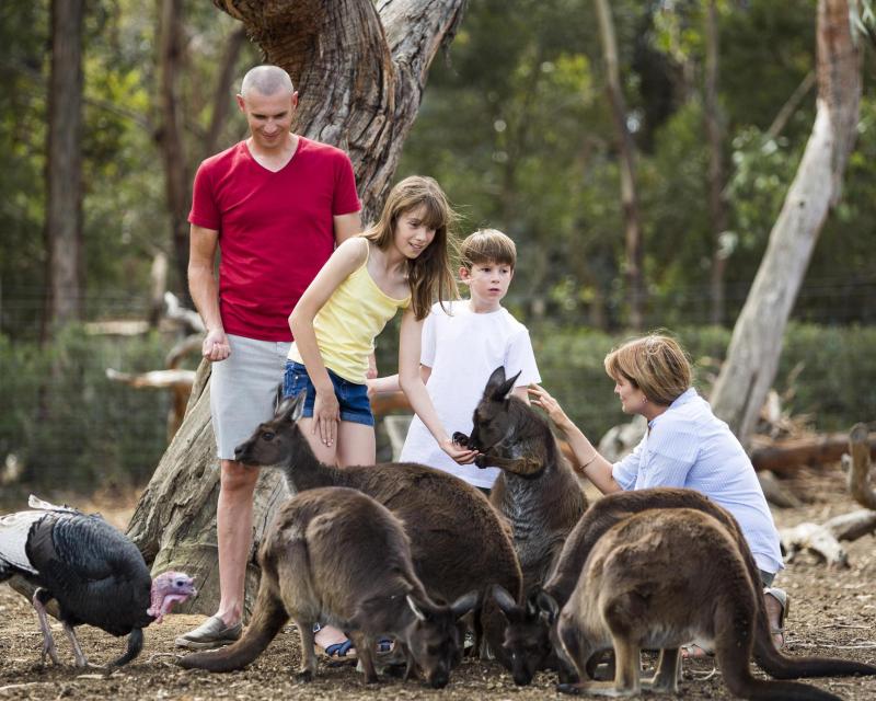 one-day-kangaroo-island-experience-ex-cape-jervis-1