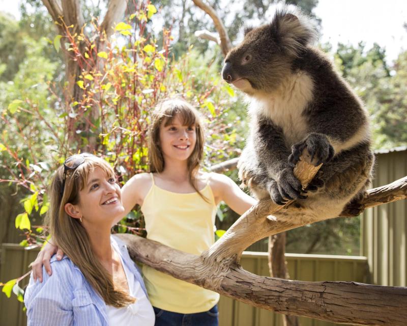 one-day-kangaroo-island-experience-ex-cape-jervis-3