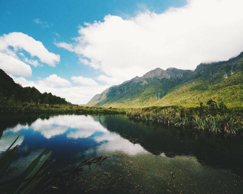 milford-sound-day-tour-incl-lunch-queenstown-3
