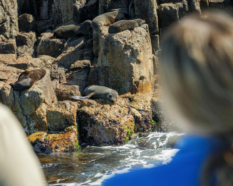 return-same-day-coles-bay-tofrom-hazards-beach-5