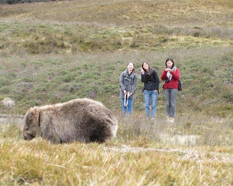 cradle-mountain-national-park-full-day-bus-tour-de-2