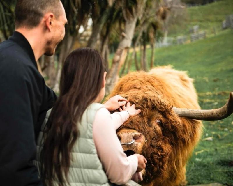 walter-peak-farm-tours-aboard-vintage-steamship-1