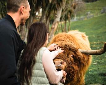 Walter Peak Farm Tours - Aboard Vintage Steamship