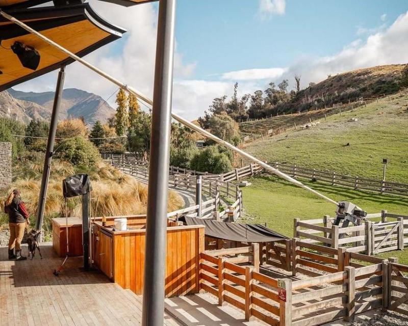 walter-peak-farm-tours-aboard-vintage-steamship-2