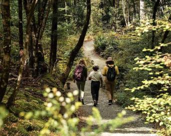 RealNZ Te Anau Glowworm Caves