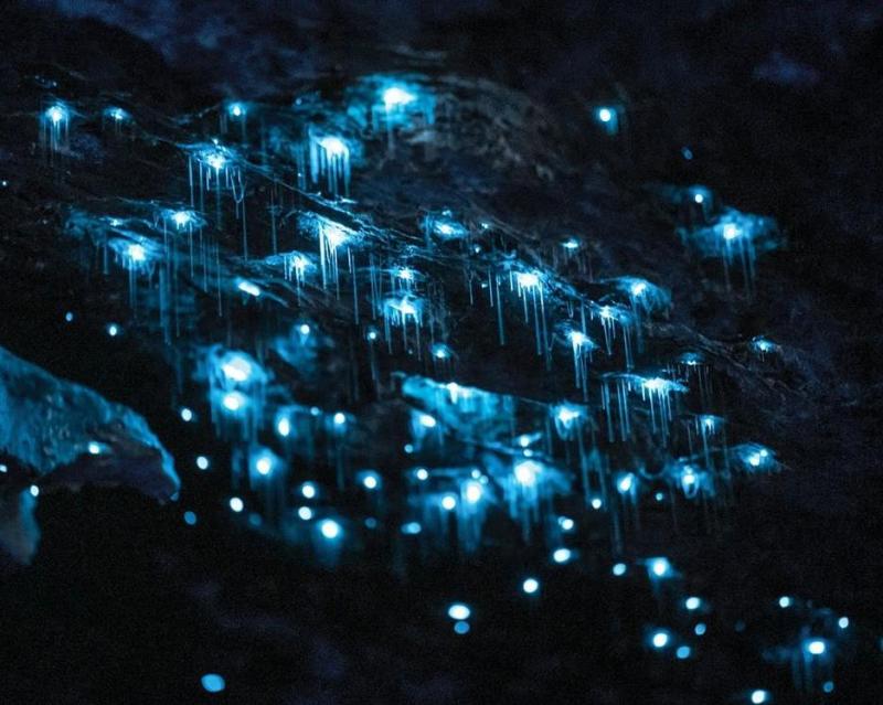 realnz-te-anau-glowworm-caves-2