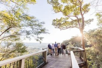 Sunshine Coast & Noosa Private Tour by Design